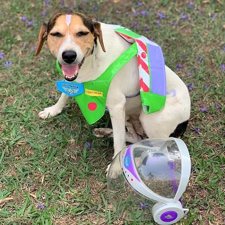 Buzz Lightyear Dog Costume