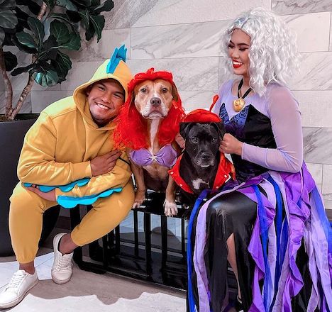 Funny Family and Dog Halloween Costumes The Little Mermaid