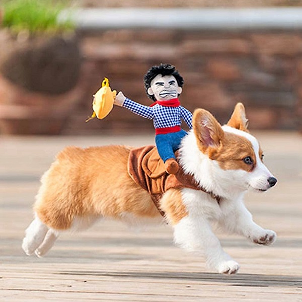 Best Corgi Halloween Costumes That Are So Funny Best Corgi Halloween Costumes That Are So Funny
