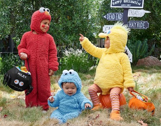 Sibling Halloween Costumes Baby and Toddlers Sesame Street