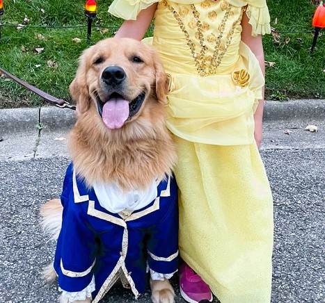 Golden Retriever Beast Halloween Costume