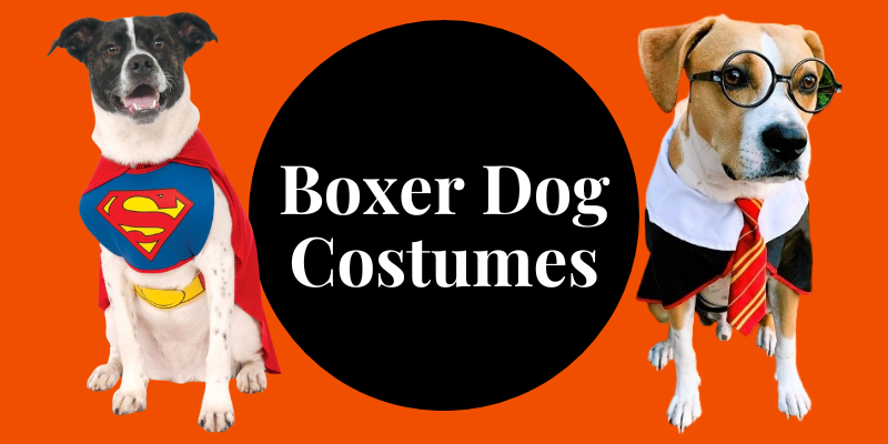 Boxer jacket halloween costume