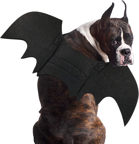 Boxer Dog Bat Costume