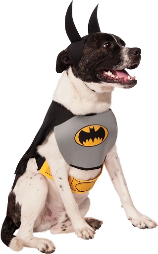 Boxer Batman Costume for Halloween