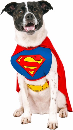 Boxer Superman Costume