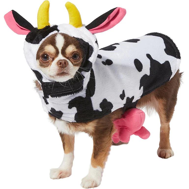 Chihuahua Cow Costume