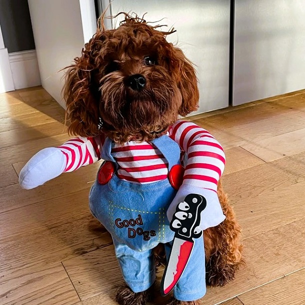 Dog Chucky Costume for Hallowee