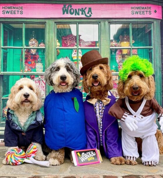 23 Best Dog Duo Costumes Perfect for Halloween!