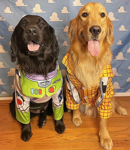 Dog Duo Halloween Costumes Buzz and Woody