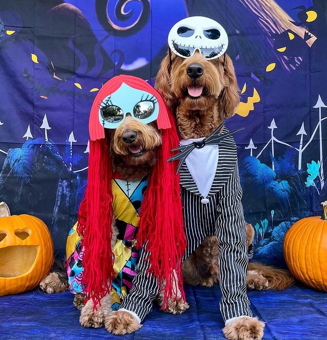 Dog Duo Costumes The NIghtmare Before Christmas