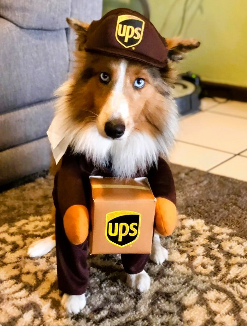 Funny Dog UPS Driver Costume