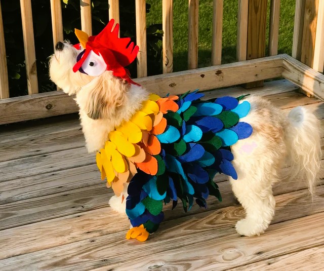 Funny Dog Costume Chicken