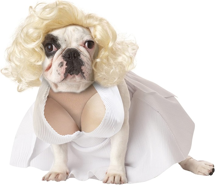 Funny Dog Costume Marilyn Monroe