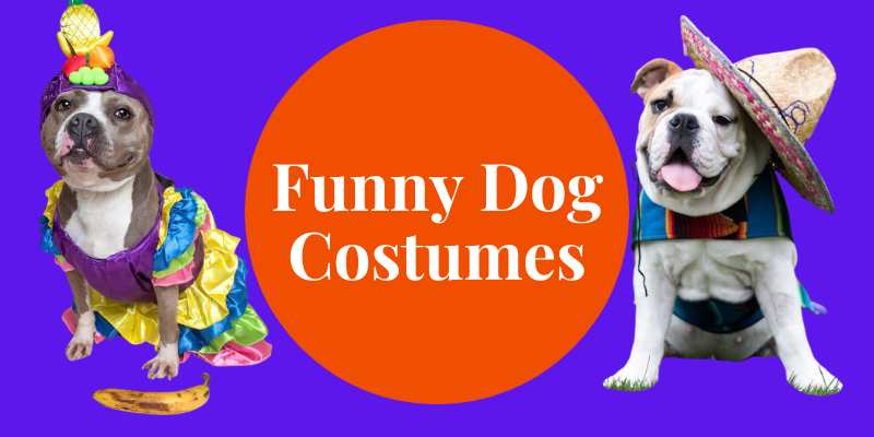 funny dog costumes for Halloween