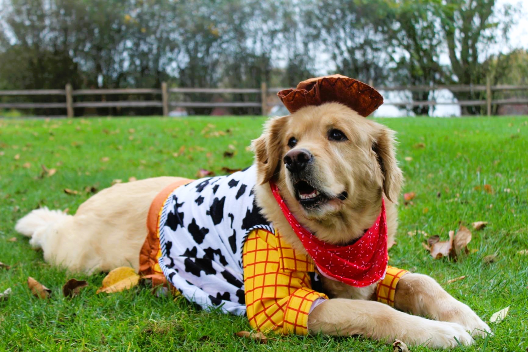 Disney Dog Woody Costume