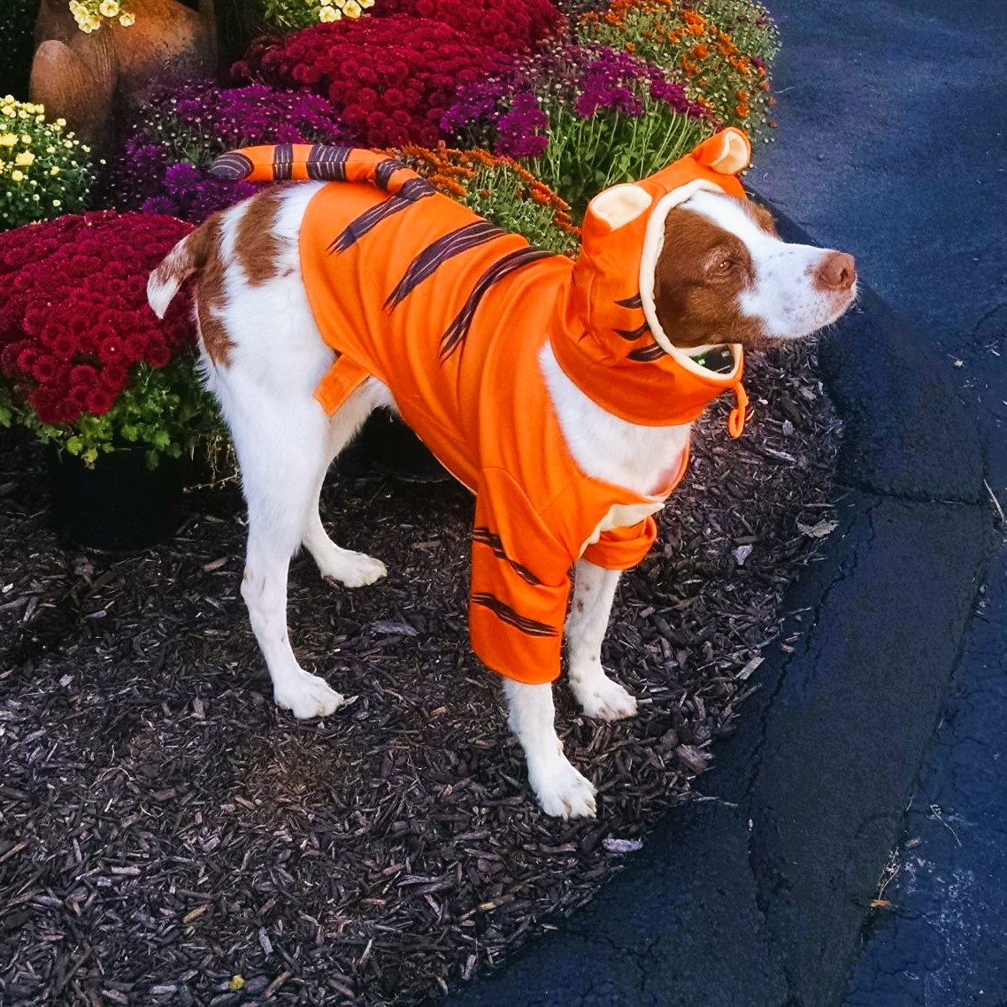 Disney Dog Tigger costume