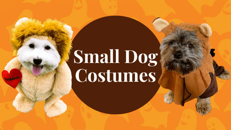 25 Best Small Dog Halloween Costumes.