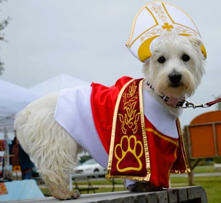 Westie Halloween Costume Priest
