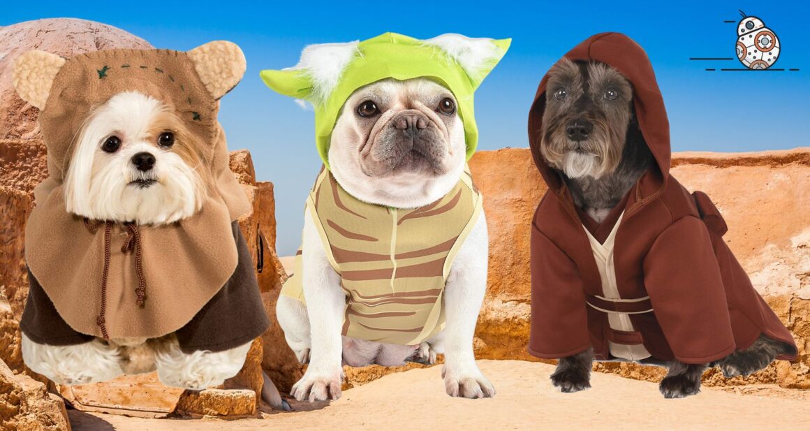 19 Best Star Wars Dog Costumes for Halloween.