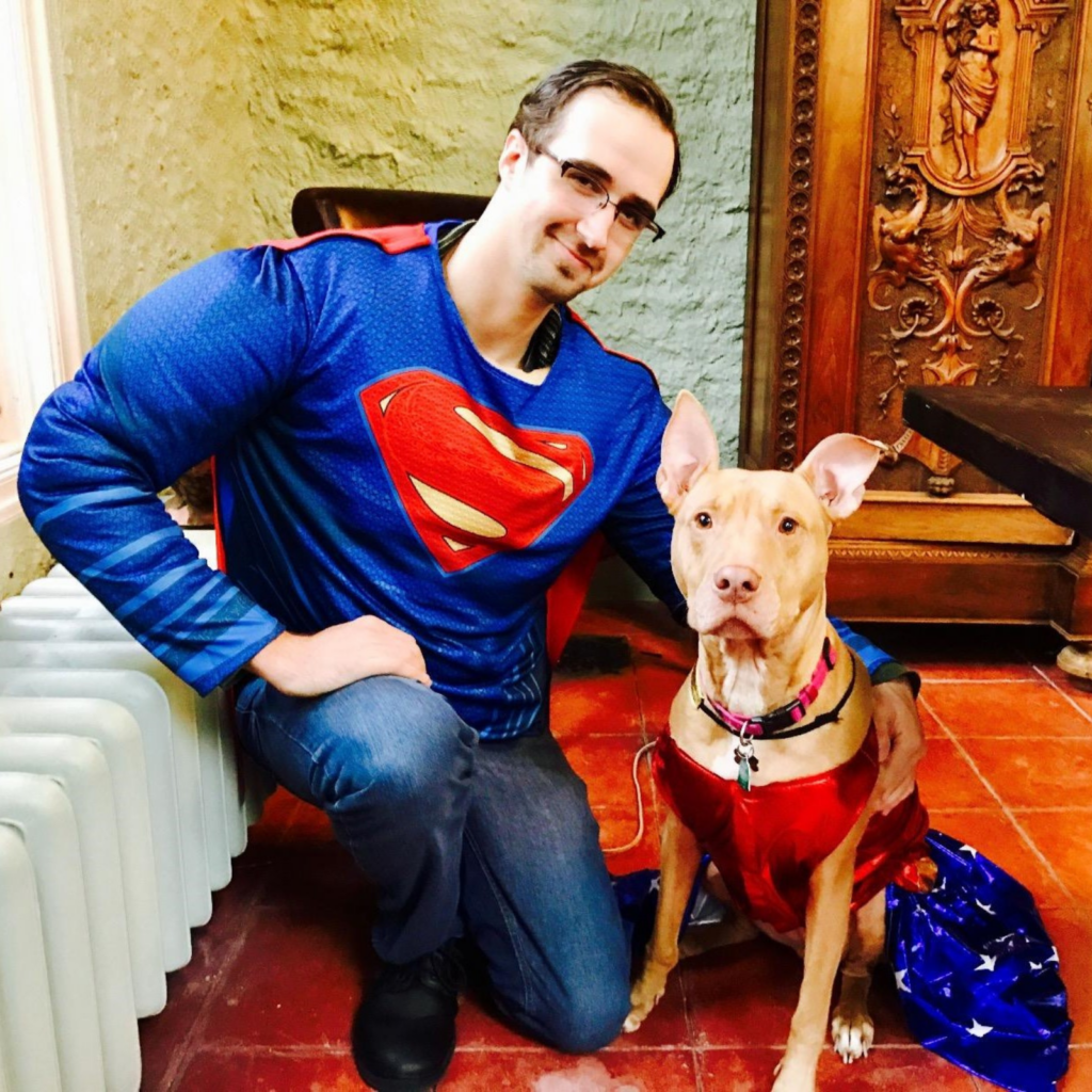 10 Best Cavalier King Charles Spaniel Halloween Costumes.