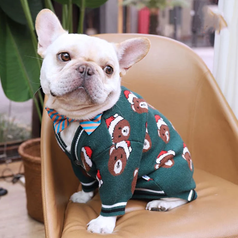 Dog Christmas Sweater Teddy Bear