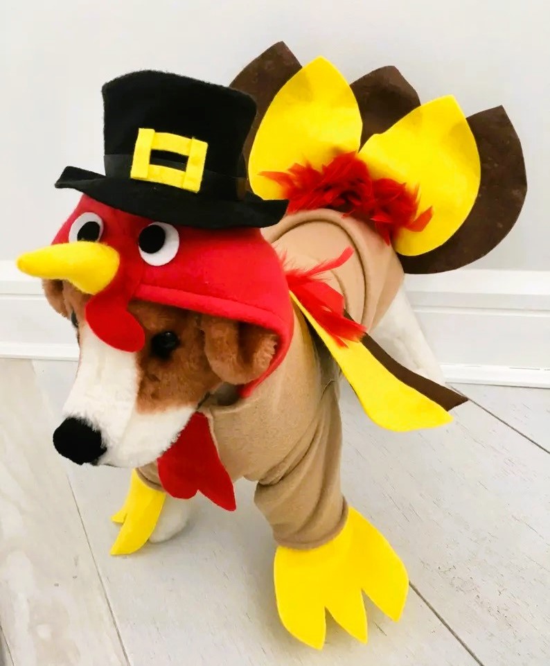 Dog Thanksgiving Costume Turkey with Hat