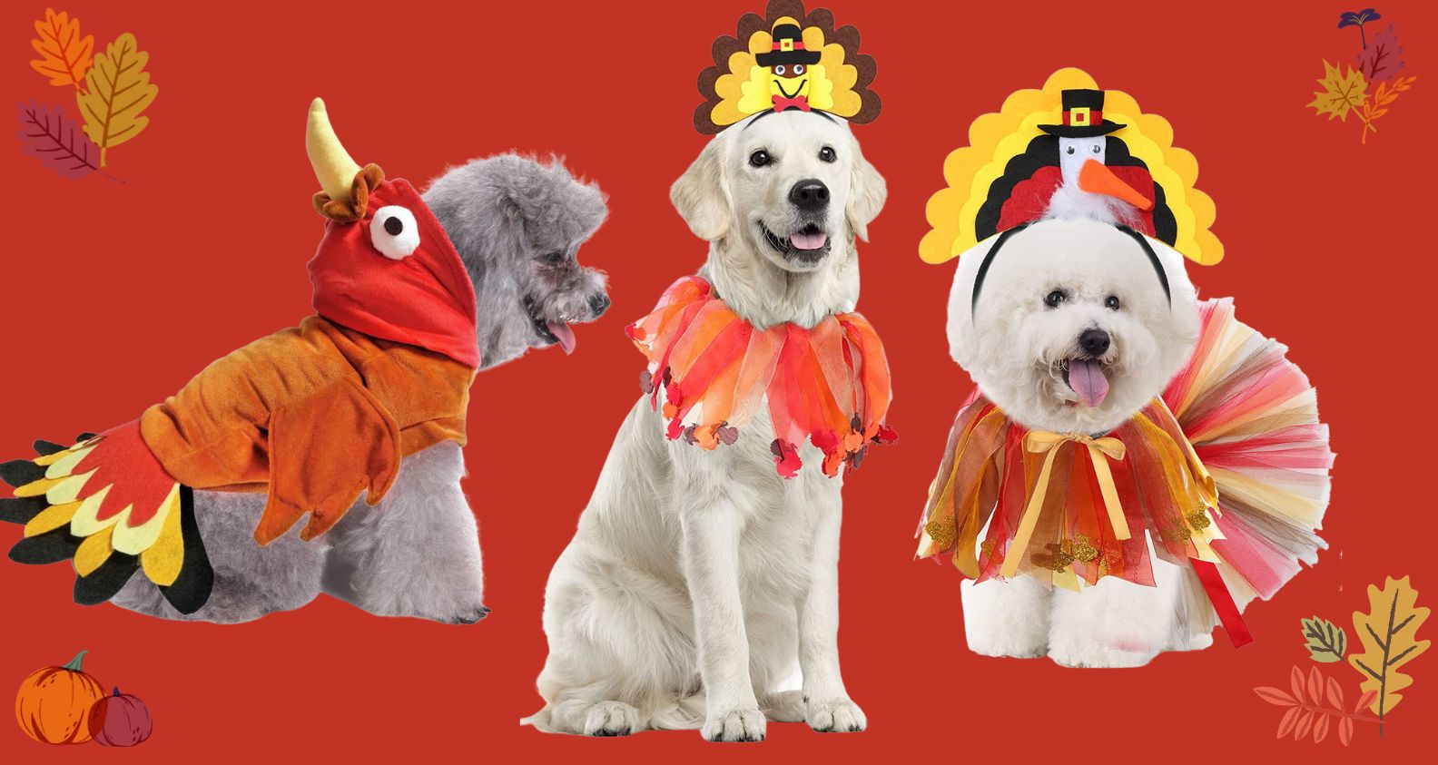 Dog Thanksgiving Costumes and Dog Thanksgiving Outfits
