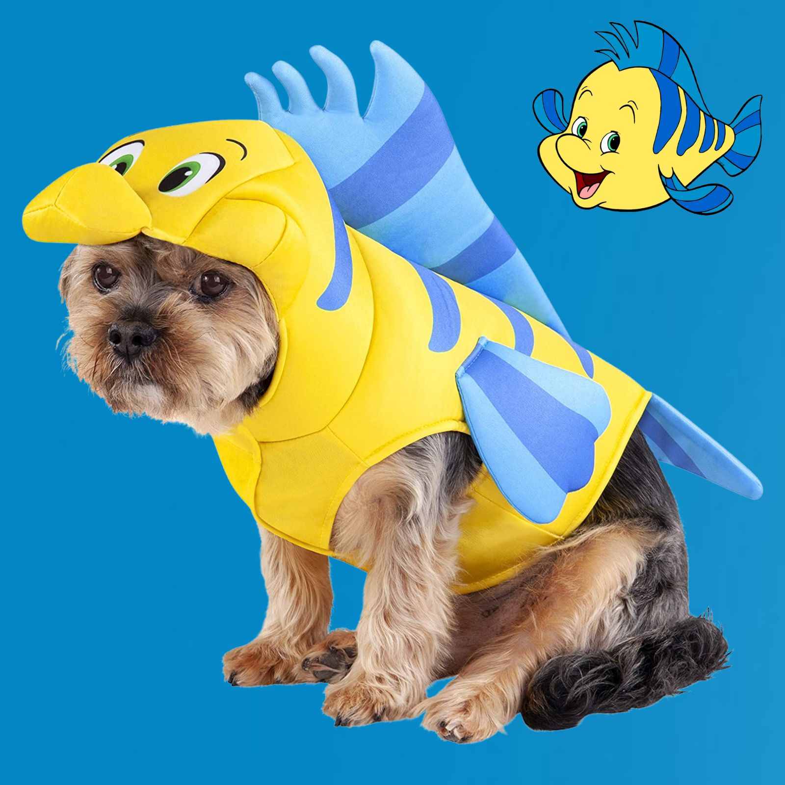 Flounder Dog Disney Costume