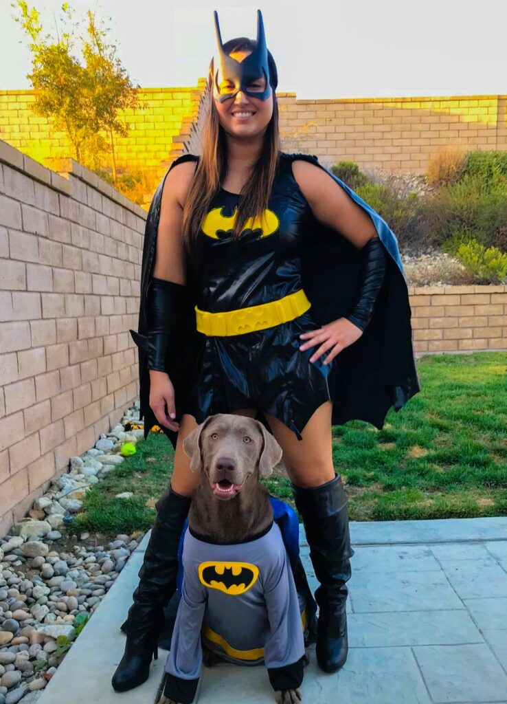 Bowknot Bat Stars Printed Halloween Pajama Dog And Owner Matching Outfits main image 1
