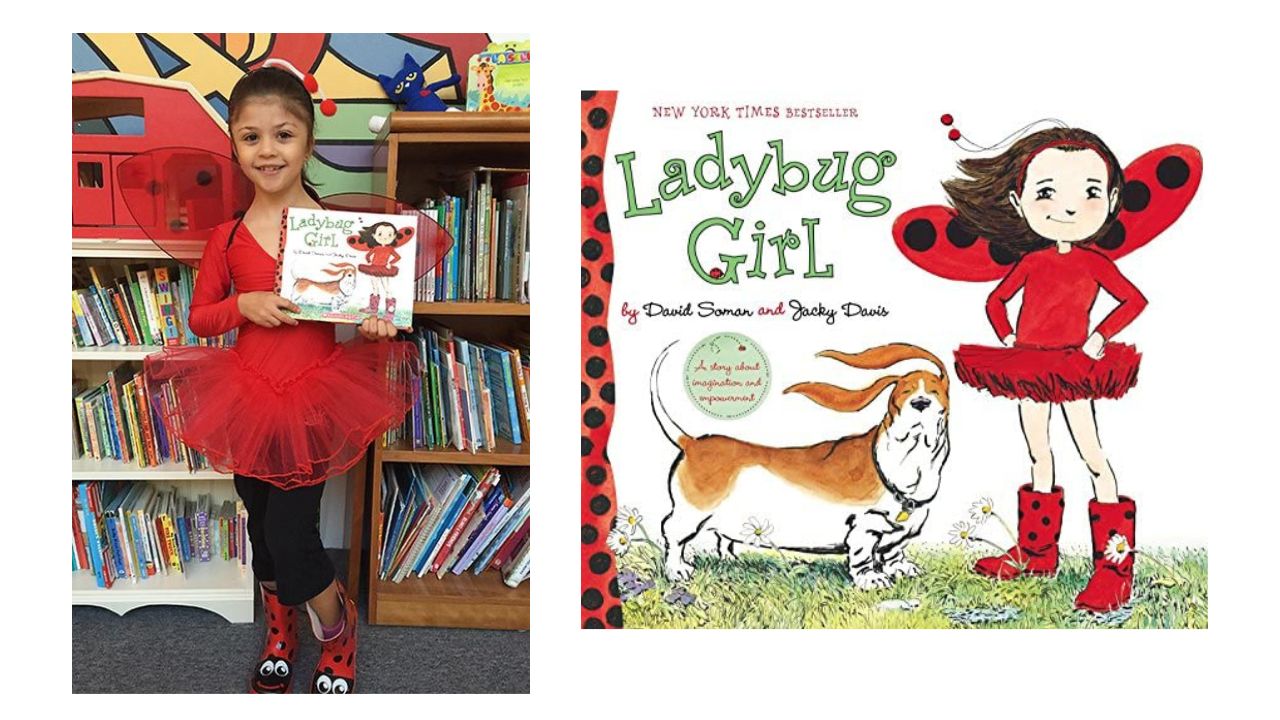 World Book Day costume Ladybug Girl costume