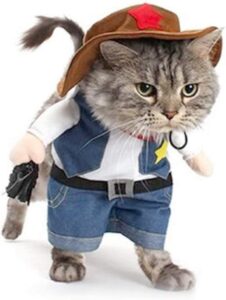 Cat Sheriff costume