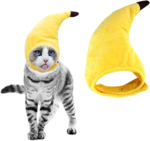 cat banana costume