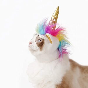 cat costume unicorn