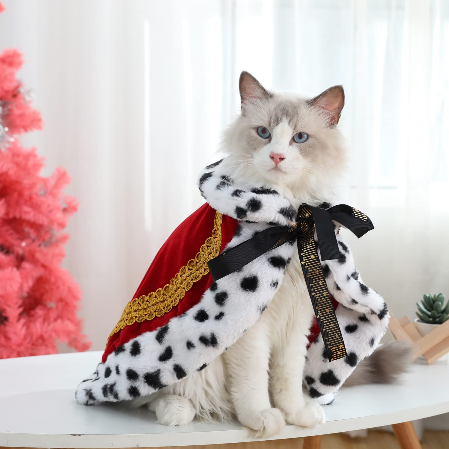 cat King costume