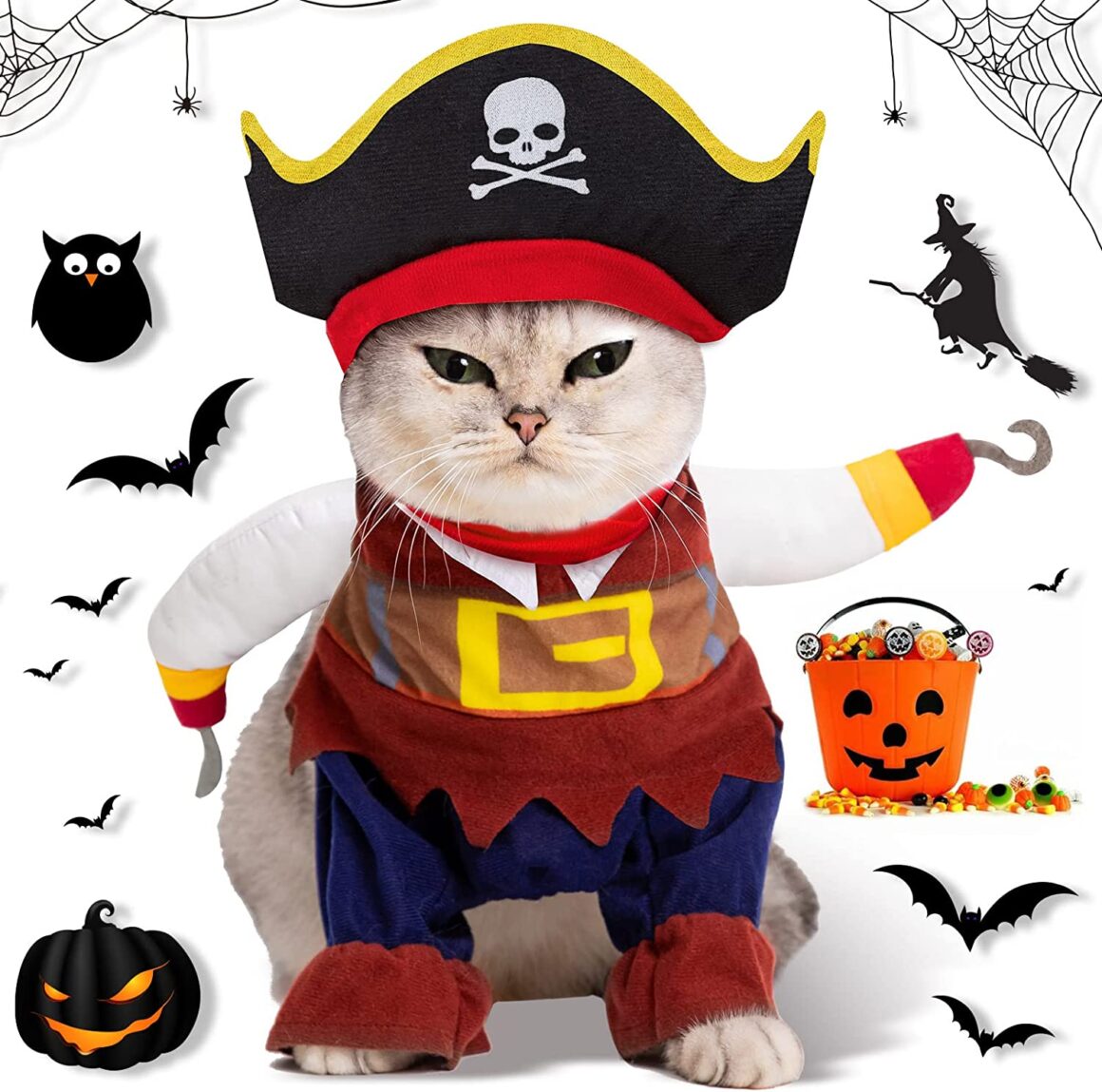 Cat Costume