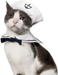 cat sailor costume