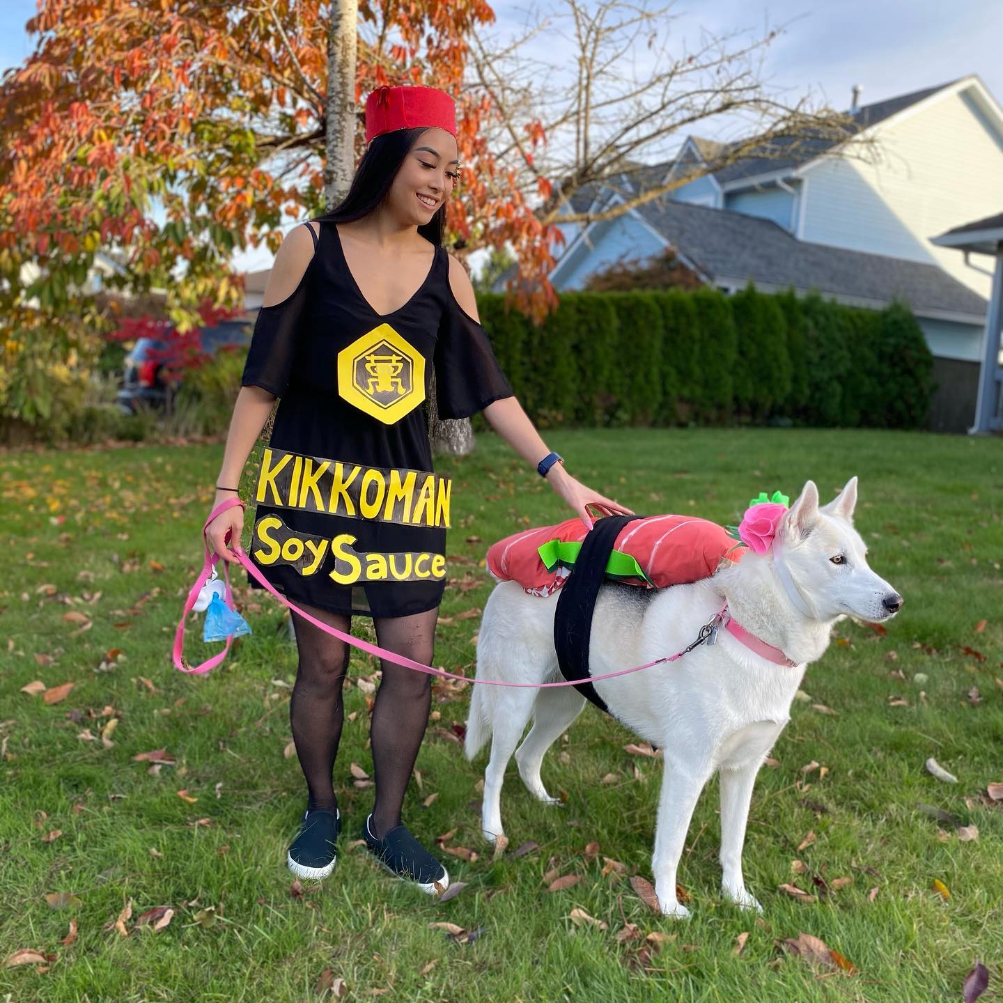 Husky Dog and Owner Halloween costumes sushi and soy sauce