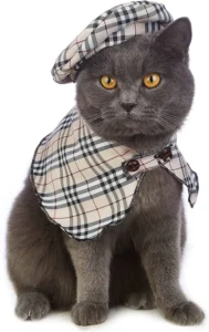 cat Sherlock Holmes and detective costume