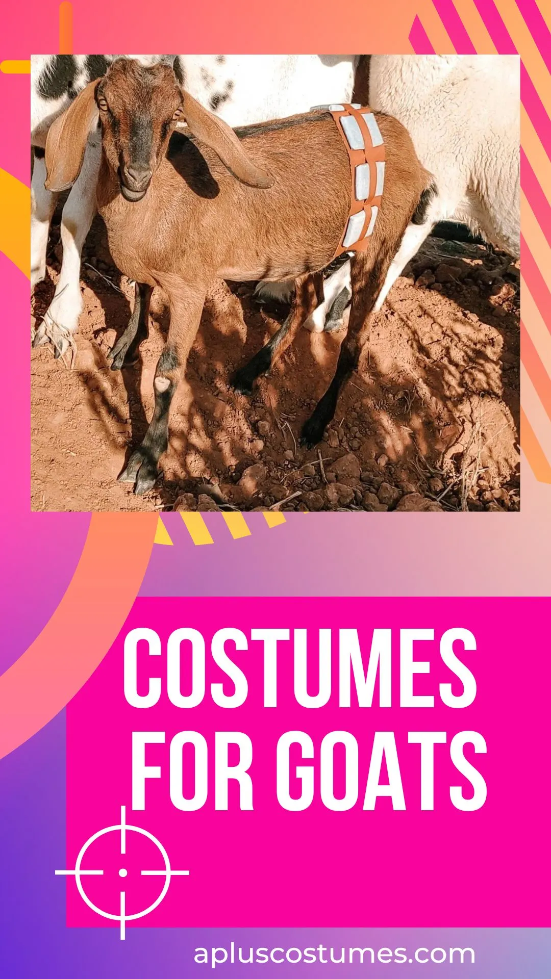 Best costumes for Goats by apluscostumes.com
