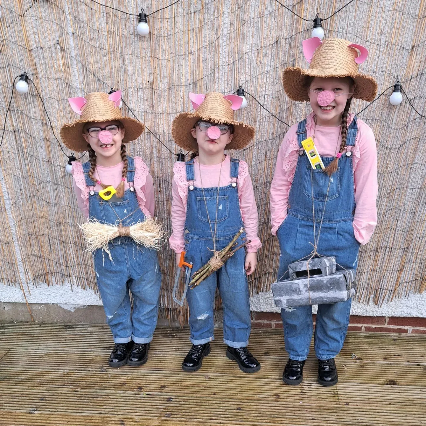 3 sibling costumes The Three Little Pigs