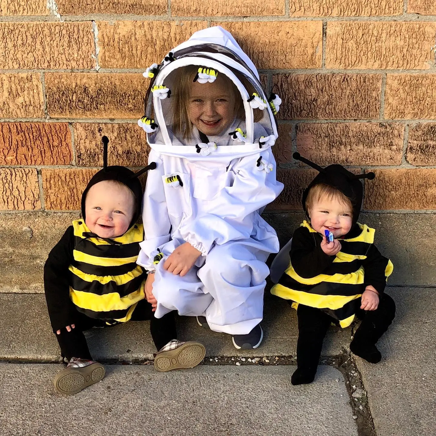 3 sibling costumes beekeeper and bumble bees