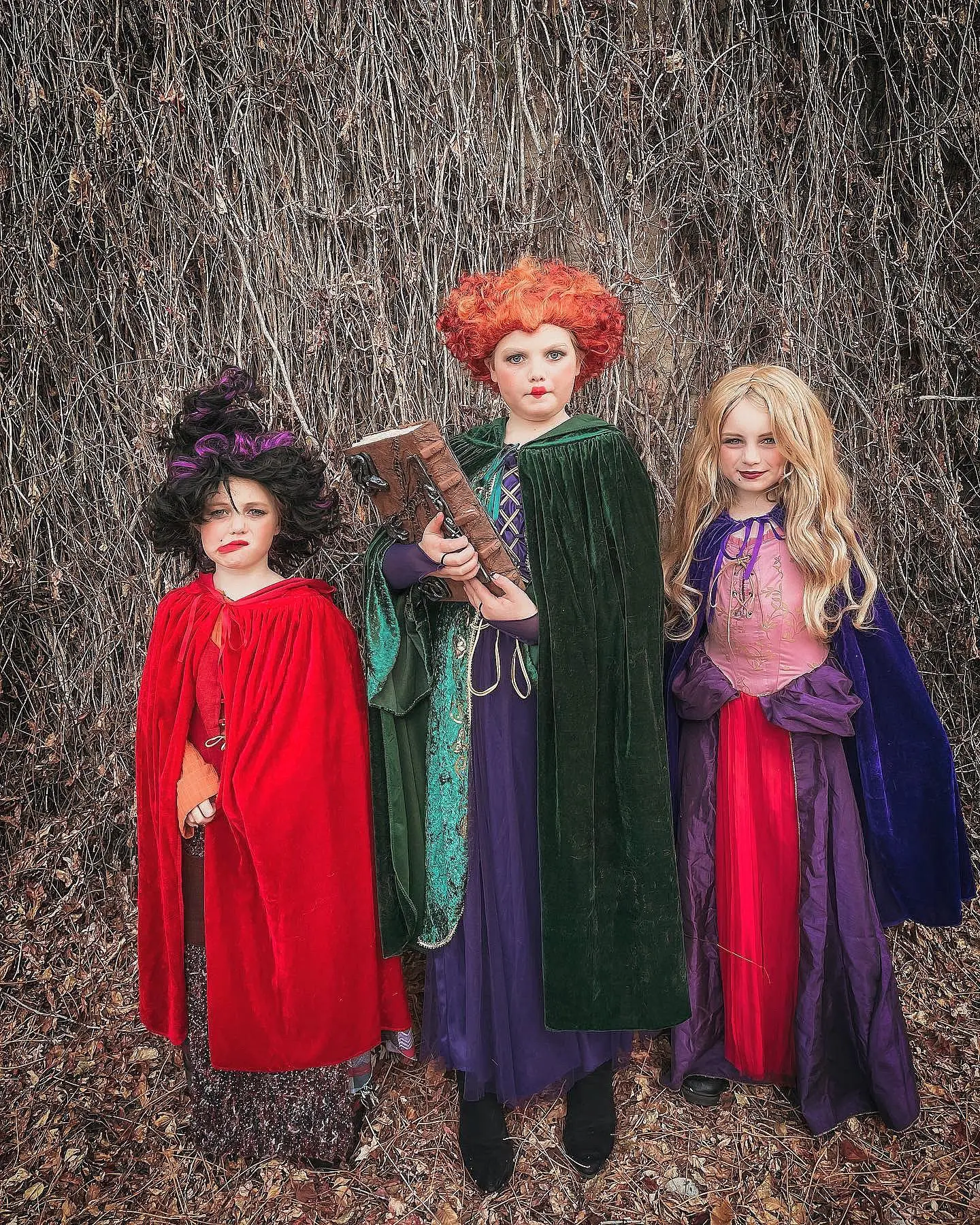 Disney Hocus Pocus costumes for sisters
