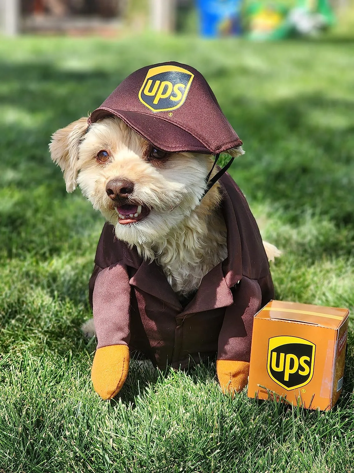 funny dog Halloween costume + UPS driver dog costume