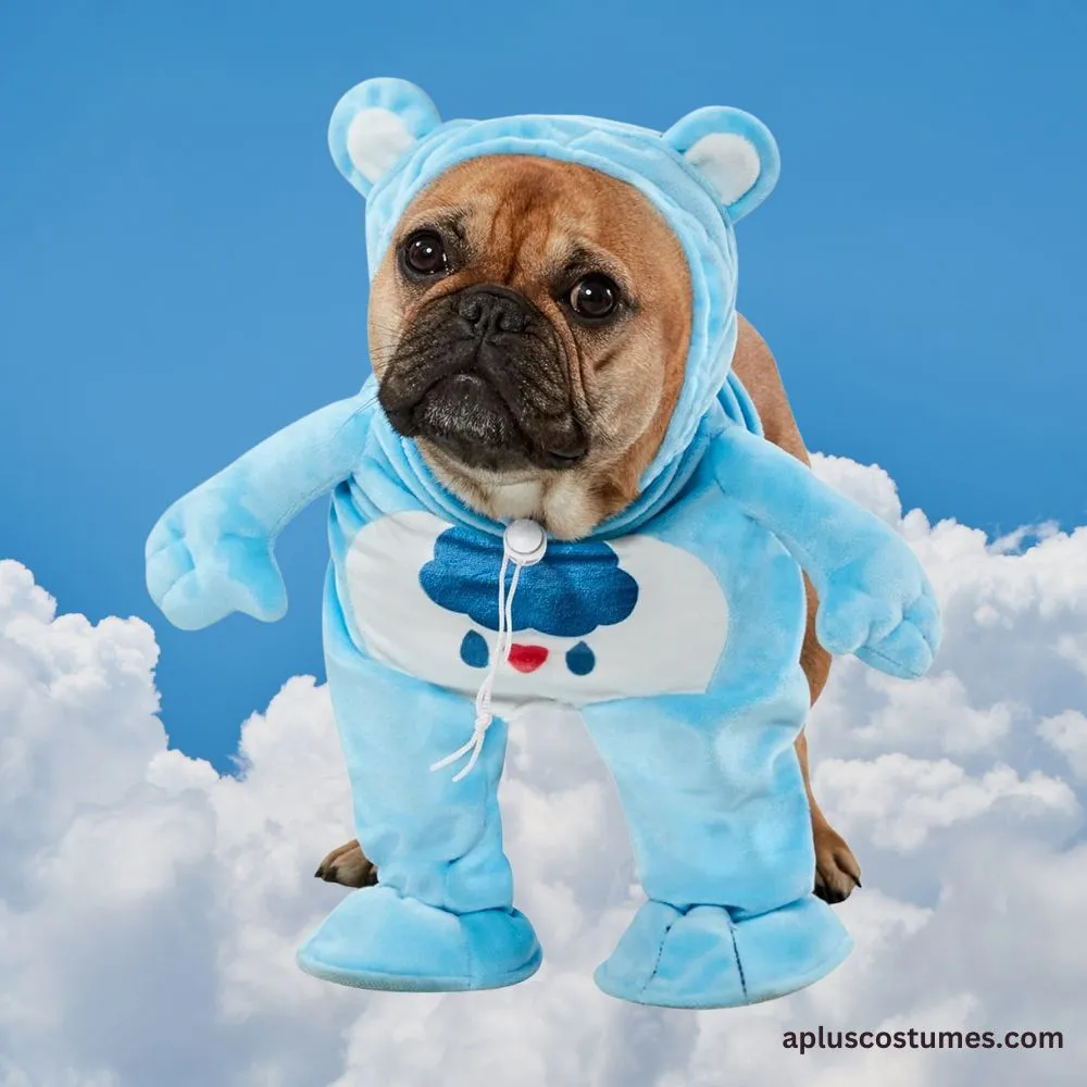 cute pug Halloween costume + dog Care Bear costume