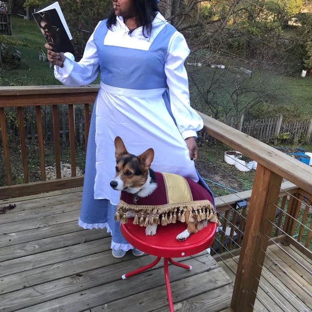 Disney dog and owner costumes with Belle and Sultan