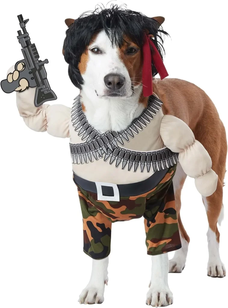 boxer dog Halloween costume army