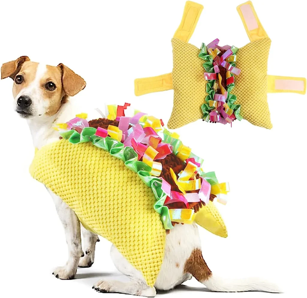 Jack Russell in taco costume