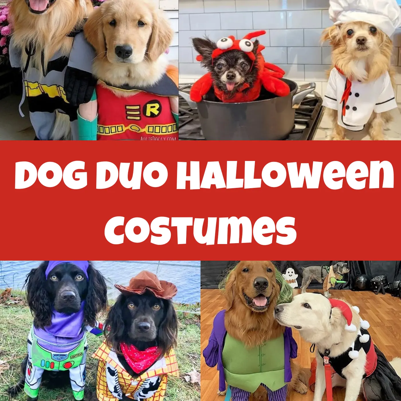 Dog duo Halloween costumes by A Plus Costumes